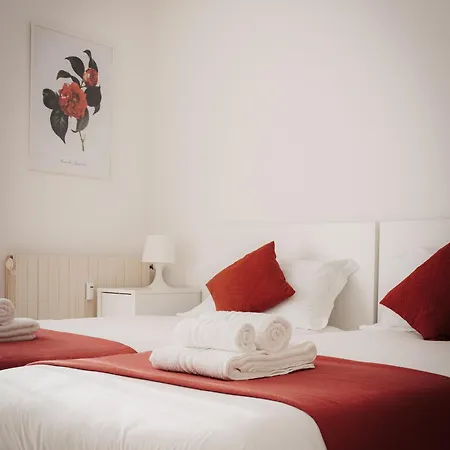 Casa Camelia - Maggiore,